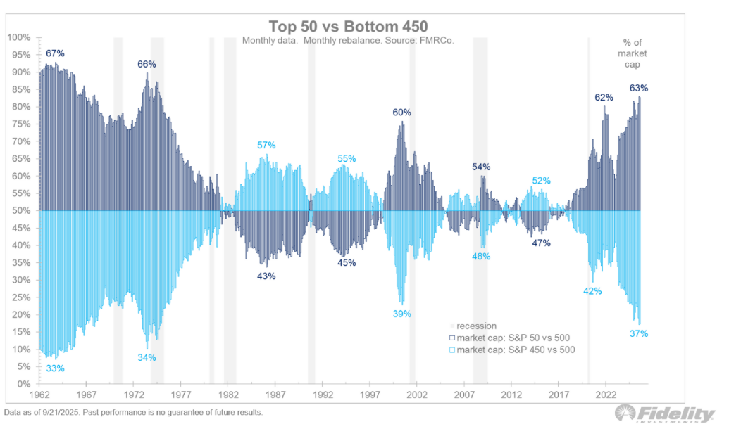 The New Normal of Stock Market Concentration
