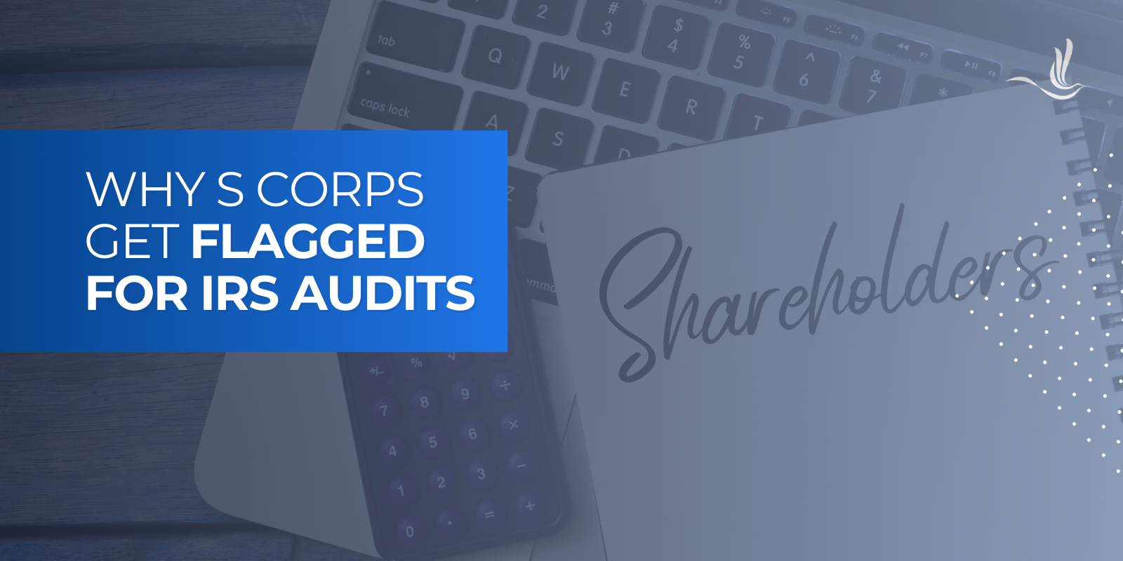 Why S Corps Get Flagged for IRS Audits