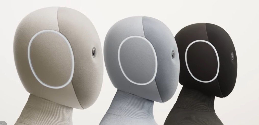 Are We Ready to Let Robots Into Our Homes?