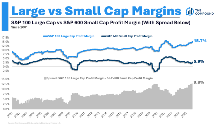 Animal Spirits: The Best Performing Stocks of 2025