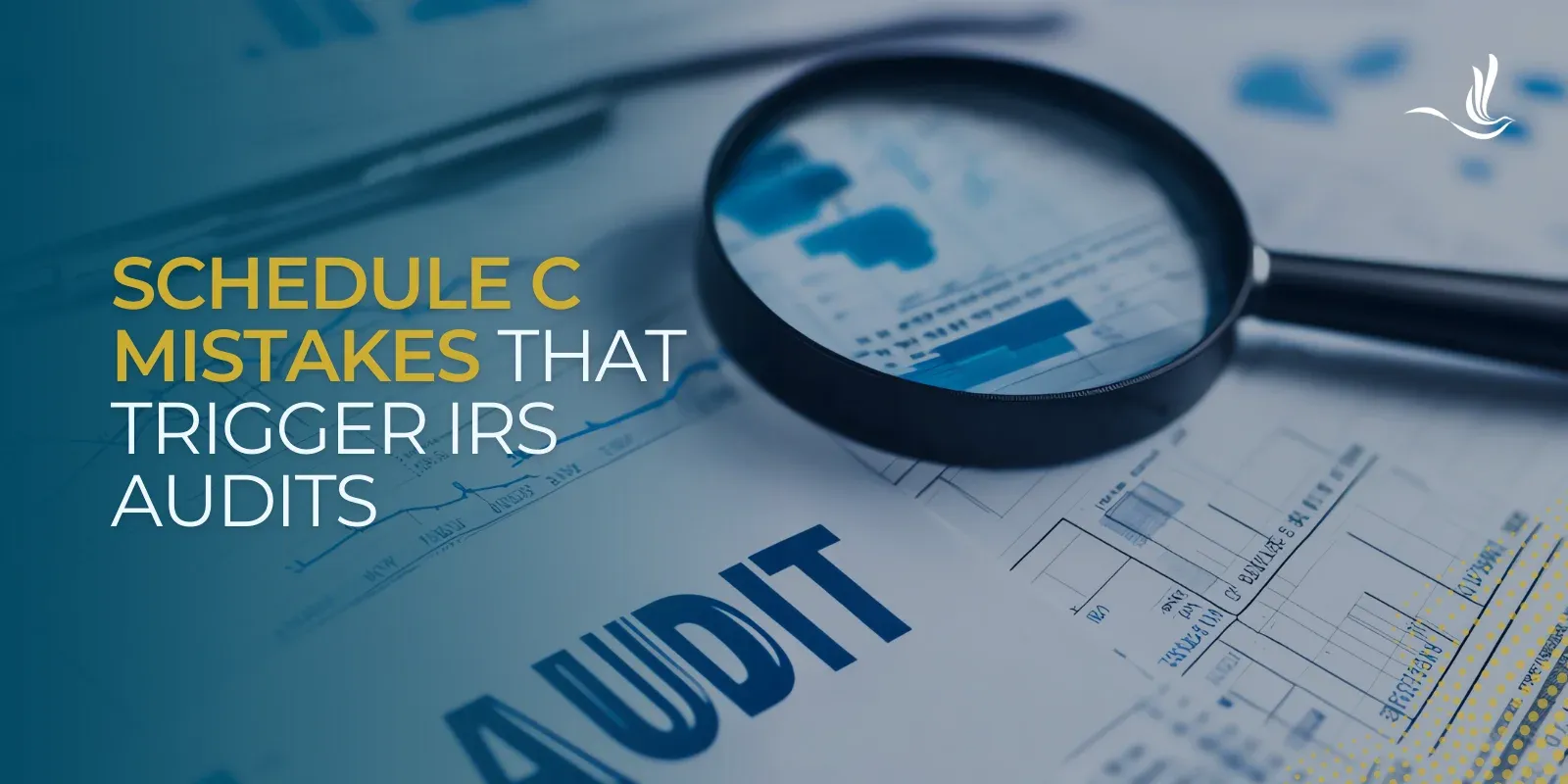 Schedule C Mistakes That Trigger IRS Audits  Optima Tax Relief