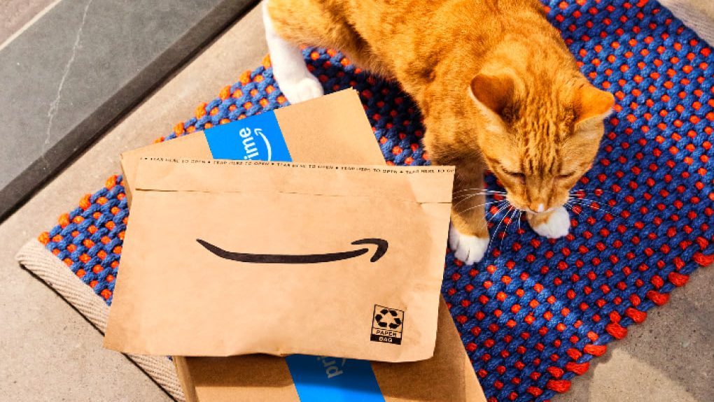 Amazon Promo on Select Household Essentials: $15 Off $50+